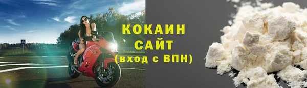 кокс Арсеньев