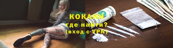 кокс Арсеньев