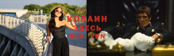 кокс Арсеньев