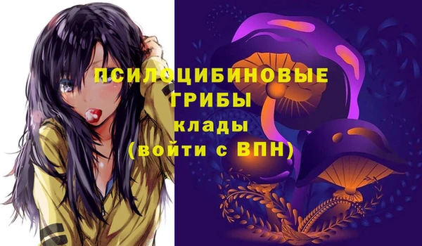тгк Армянск