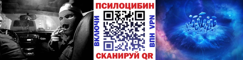 Псилоцибиновые грибы Psilocybe  Усть-Илимск 